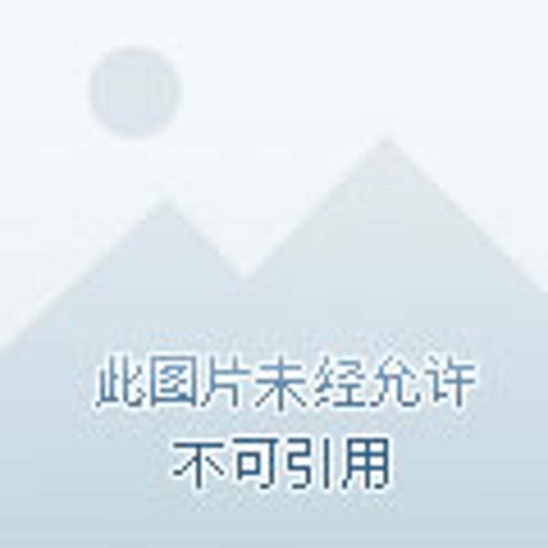 展具租赁：打造完美展会的秘诀